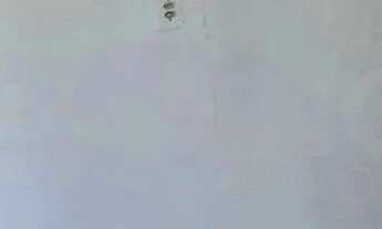 Imagem: Kitnet - Bairro Goiá