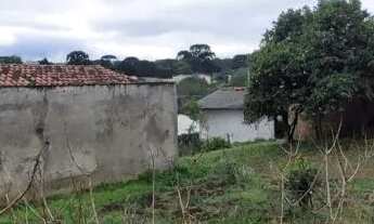 Imagem 3: Oportunidade! Terreno a Venda no Campina da Barra em Araucária