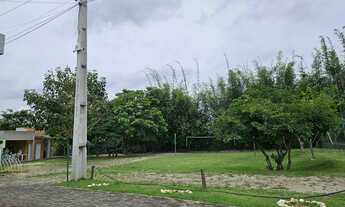 Imagem 7: Terreno Ecotrins