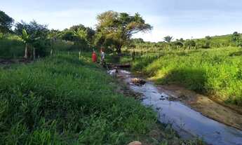 Imagem: Sítio para Venda em Messias, Zona Rural