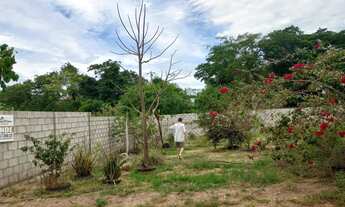 Imagem: Campestre manoa