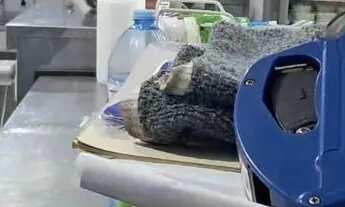 Imagem 3: Mercado em Santo André. Ref; 2890