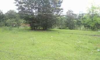 Imagem: Terreno Salgado Filho Caxias do Sul