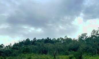 Imagem 2: São Roque: Oportunidade Única de Investimento em Lotes de 1.000 m²! 20 min da Rota do Vinh