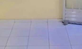 Imagem: Casa frente de rua em Olinda - Nilópolis