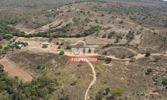 Imagem 5: Fazenda 175 alqueires (840 hectares) Minaçu - Go