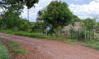 Imagem 4: Oportunidade imperdível