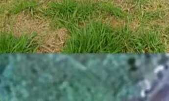 Imagem 2: Vende se Terreno em Fernandópolis sp