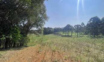 Imagem: Imóvel para venda com 49.743metros quadrados