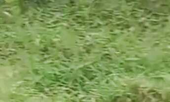 Imagem 2: Lote 25.000 Terreno / lote com venda por R$25.000