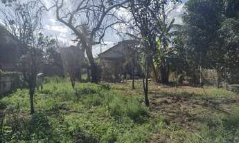 Imagem 7: Vende-se Casa com 3 dormitórios