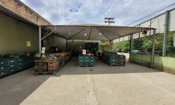 Imagem 4: Casa 3 dormitórios à venda Ponta Grossa Porto Alegre/RS