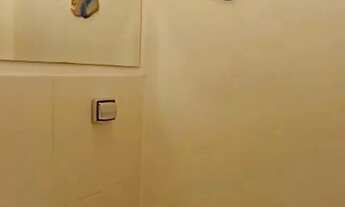 Imagem 5: CASA ASSOBRADADA - PERDIZES - SP