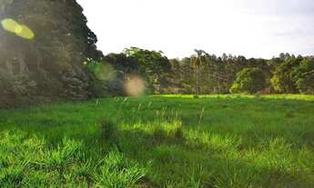 Imagem 4: Lote em Rua dos Expedicionários - Sousas - Campinas/SP