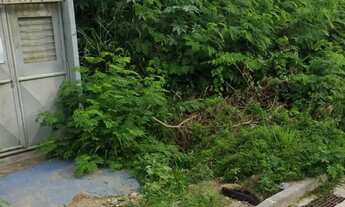 Imagem 2: Lote em Pontal das Garças