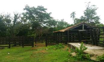 Imagem: 41 Alq ( 200 HÁ ) Goiás Velho-GO