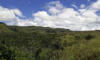 Imagem 2: Sítio com ótima casa