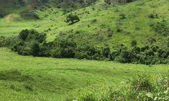 Imagem 5: Fazenda no Periquito/MG