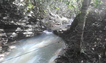 Imagem 7: Sítio com ótima casa