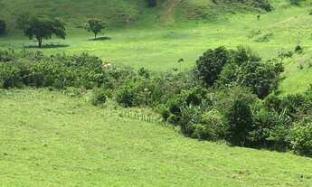 Imagem 3: Fazenda no Periquito/MG