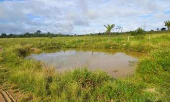 Imagem 5: Vende terra 15 alqueiros 570.000.00