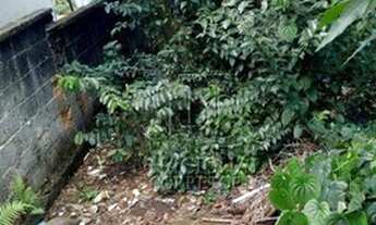 Imagem 2: Terreno à venda, 400 m² por R$ 450.000 - Jardim Santo Alberto - Santo André/SP