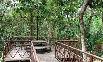 Imagem 2: Alugo Apartamento Espaçoso de 04 Quartos