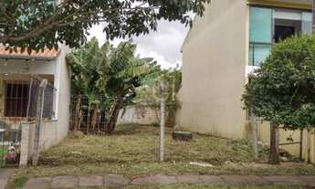 Imagem 3: Terreno plano no loteamento Nova Ipanema 2