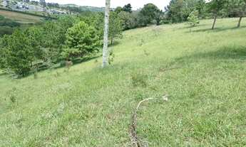 Imagem 3: Lotes a venda com facilidade de pagamento ( atibaia