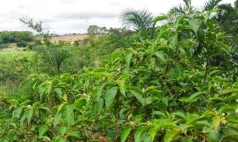 Imagem 4: Linda chácara próxima ao Campo limpo