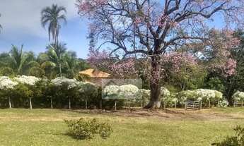 Imagem 7: Chácara de 1 alqueire e 45 litros à venda em Leopoldo de Bulhões!