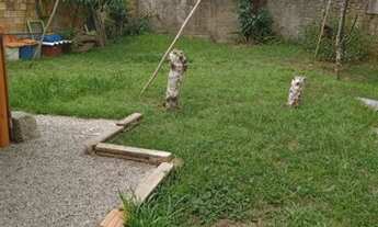 Imagem 3: Casa com 2 dormitórios à venda, 100 m² por R$ 850.000 - Centro - Imbituba/Santa Catarina