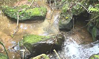 Imagem 4: IMAGINE-SE NESTE SÍTIO COM RIACHO