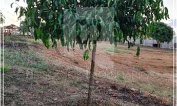 Imagem 3: Chácara com 11.700 m² no condomínio Veredas do Lago em Trindade GO
