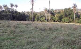 Imagem 4: Lindo baixado 80.000m² com luz, rio nos fundos, mata nativa, Jaboticatubas