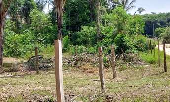 Imagem: Vende se este lote de terra