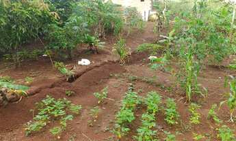 Imagem 5: Cháchara Jardim são José