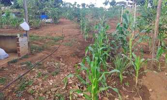 Imagem 10: Cháchara Jardim são José