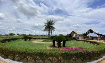 Imagem 3: Seu LOTE na fazenda pronto para construir !