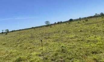 Imagem 3: Fazenda na região de Marianópolis/Divinópolis/Caseara/Abreulândia