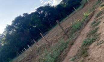 Imagem 3: Vendo uma chácara de 1041 metros quadrados