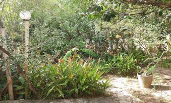 Imagem: Casa com 3 dormitórios à venda, 235 m²