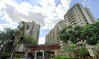 Imagem: Apartamento - Taquaral - Campinas