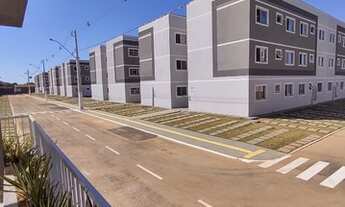 Imagem 3: Jardim Céu Azul