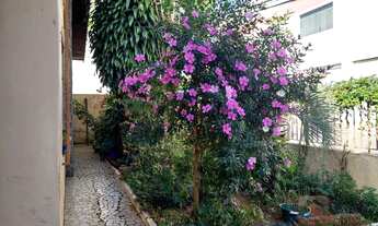Imagem 3: Casa Térrea à Venda e Locação em Veleiros - São Paulo