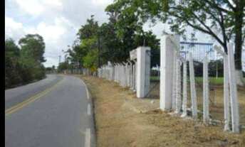 Imagem: Alugo área de 01 a 08 hectares