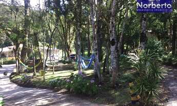 Imagem 5: Chácara à venda, 4367 m² por R$ 1.100.000,00 - Borda Do Campo - São José dos Pinhais/PR