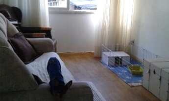 Imagem 4: Porto Alegre - Apartamento Padrão - Ipanema