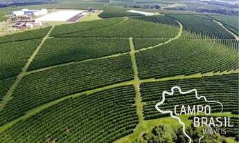 Imagem: FAZENDA 2.190 ALQUEIRES COM APTIDÃO PARA