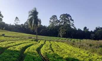 Imagem 4: Terreno em Ibiúna com Fácil Acesso a Mairinque SP
